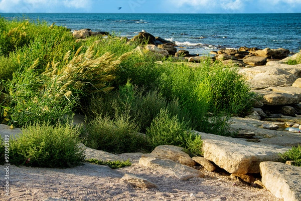 Obraz Каспийский берег