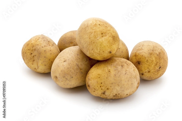 Obraz Potato isolated on white background close up.