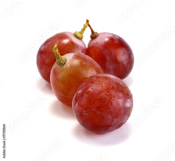 Obraz Red grape isolated on white, clipping path included
