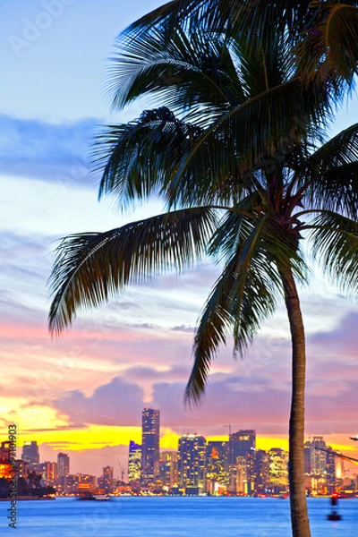 Fototapeta Beautiful sunset over  Downtown and the Port of Miami, beautiful colorful sunset with silhouettes of Palm trees