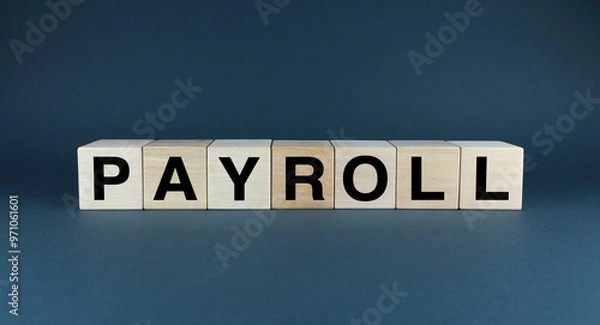 Fototapeta The Payroll Process: A Vital Business Function