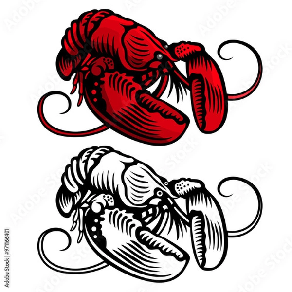 Fototapeta Lobster in engraving style, color and black vector illustration isolated on white