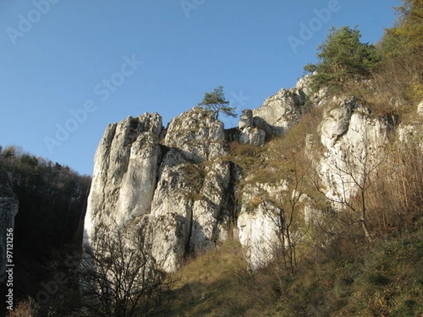 Fototapeta Dolina Bolechowicka