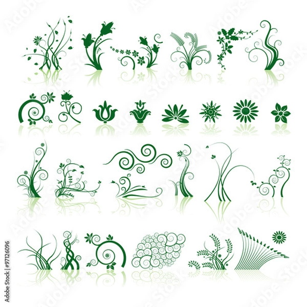 Fototapeta Floral elements in various styles with reflections