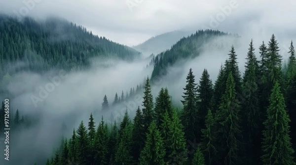 Fototapeta How does the image of mist rolling over the forested mountains symbolize mystery, tranquility, or the unknown in a story or poem,