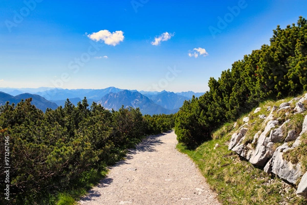 Fototapeta A serene hiking trail in the Austrian Alps offers breathtaking views of distant mountains, surrounded by lush greenery and rocky terrain under a clear blue sky. Perfect for nature lovers and outdoor a