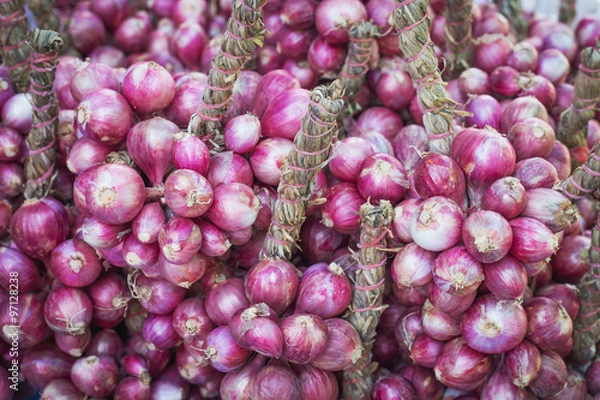 Obraz Shallot onions a group