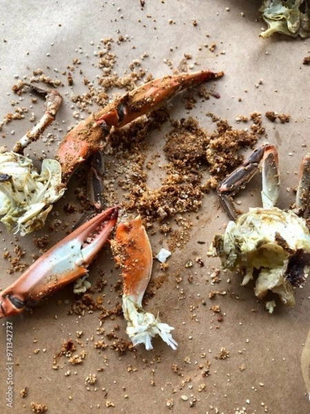 Obraz crab on the table