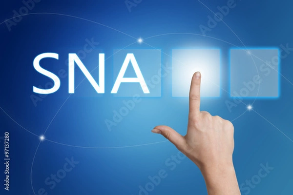 Fototapeta Systems Network Architecture