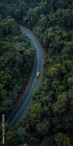 Fototapeta Top down view of curvy, asphalt road surrounded by bunch of evergreen trees. car driving on the road. Beautiful aerial view of dense forest mountain landscape in summer time with curvy road cutting th