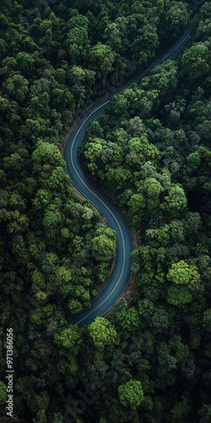 Fototapeta Top down view of curvy, asphalt road surrounded by bunch of evergreen trees. car driving on the road. Beautiful aerial view of dense forest mountain landscape in summer time with curvy road cutting th