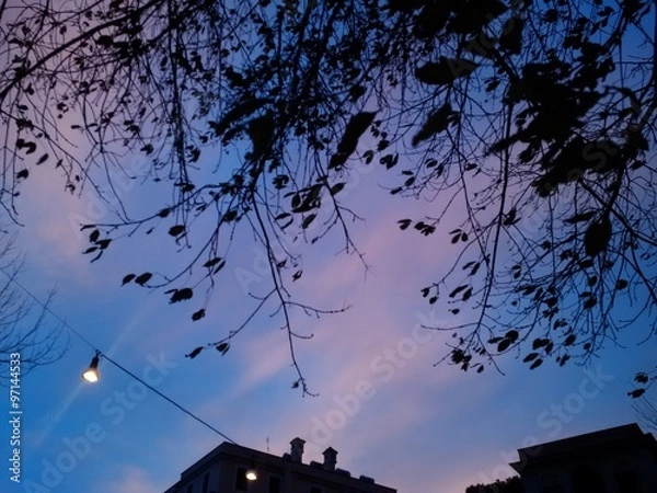 Obraz Cielo variopinto