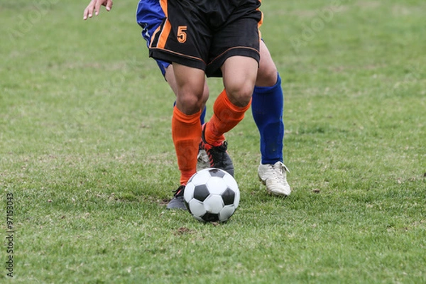 Fototapeta ラグビー