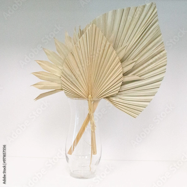 Obraz dried palm fan