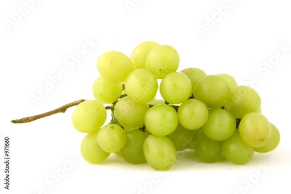 Fototapeta grape single