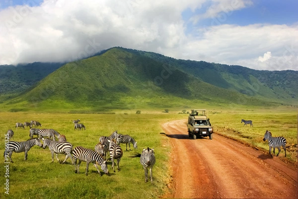 Obraz Safari in Ngorongoro Crater National park. Zebras against mountains and clouds.  Tanzania. Wild nature of Africa.