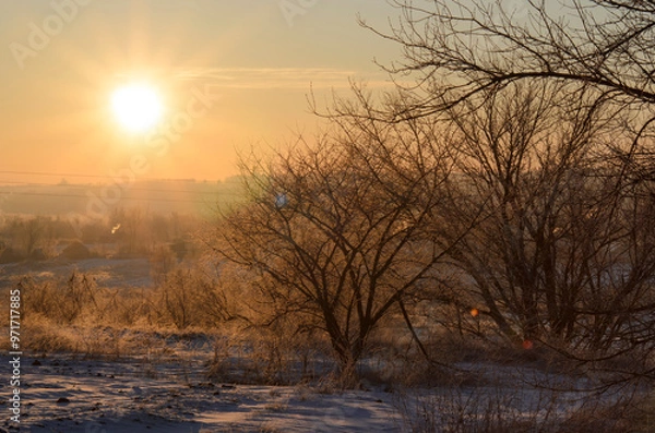 Fototapeta Sun and tree branches in the morning and frost.