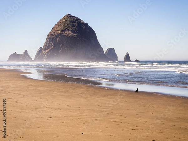 Fototapeta Haystack Rock sits in the waves at Cannon Beach, Oregon