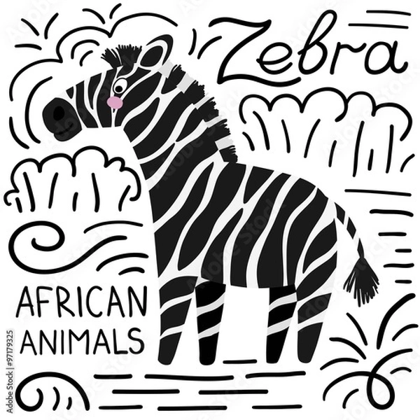 Fototapeta Zebra black and white with lettering on a white background