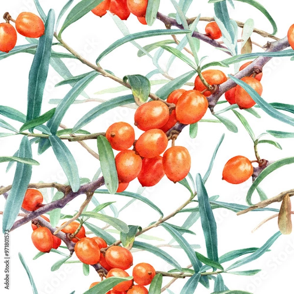 Fototapeta Seamless Watercolor Botanical Pattern of Sea Buckthorn Branches with Orange Berries and Green Leaves Isolated on White
