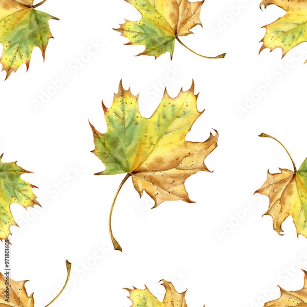 Fototapeta Seamless Autumn Maple Leaves Pattern on White Background