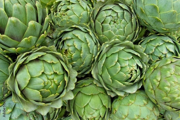 Obraz Background of artichokes