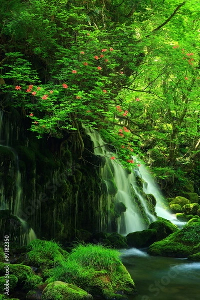 Obraz 秋田県にかほ市　 元滝伏流水