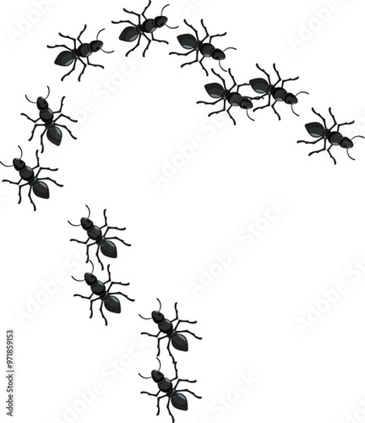 Fototapeta Colony of black ants is forming a question mark shape on a white background