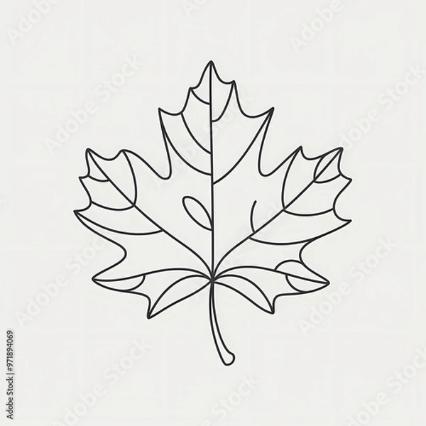 Fototapeta Minimalist Line Art Maple Leaf, isolated on white background 