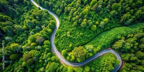Fototapeta Aerial view of a winding road cutting through a lush green forest , forest, trees, road, aerial view, nature