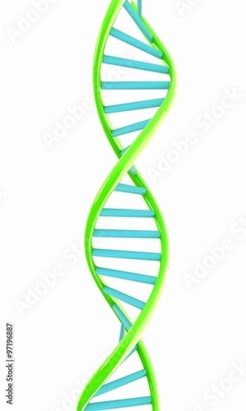Fototapeta DNA structure model on white
