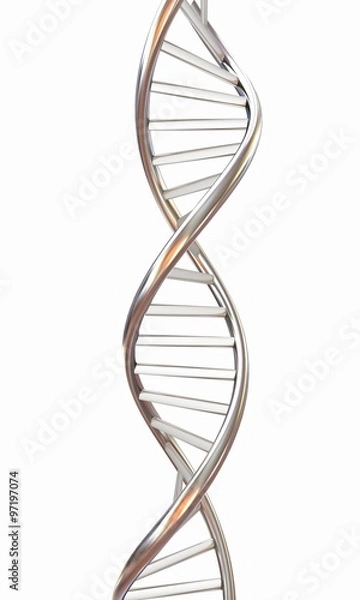 Fototapeta DNA structure model on white