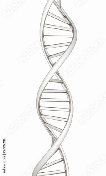 Fototapeta DNA structure model on white