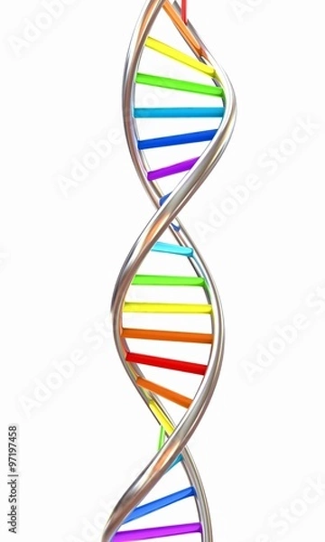 Fototapeta DNA structure model on white