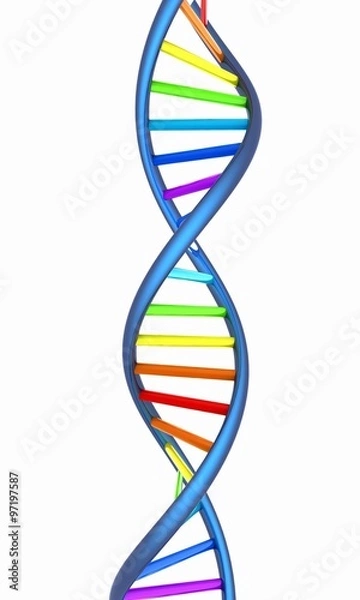 Fototapeta DNA structure model on white