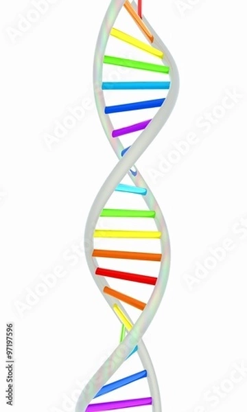 Fototapeta DNA structure model on white