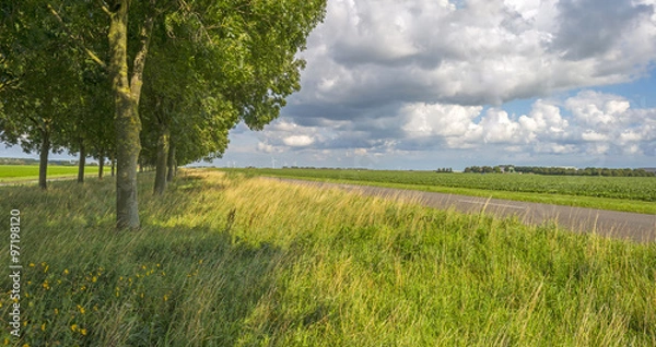 Fototapeta Road through the countryside in summer