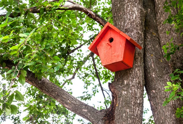 Fototapeta Red birdhouse hanging from a tree