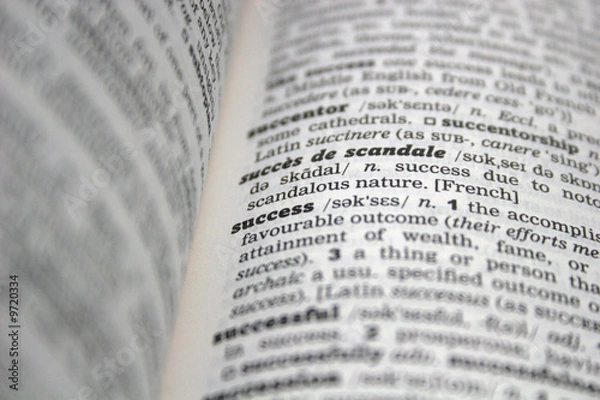 Fototapeta dictionary-success