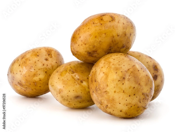 Obraz new potato tuber isolated on white background cutout