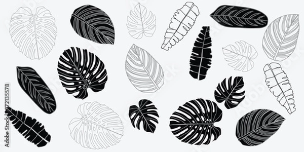 Fototapeta Chic black and white floral patterns with various flowers and leaves in a detailed, seamless design