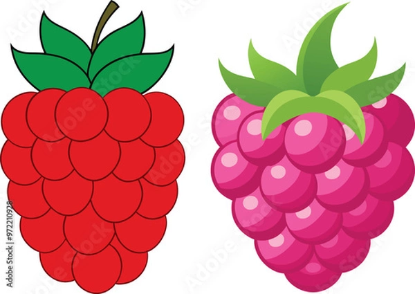 Fototapeta Original name(s): Raspberry Fruit Vector Style Illustration