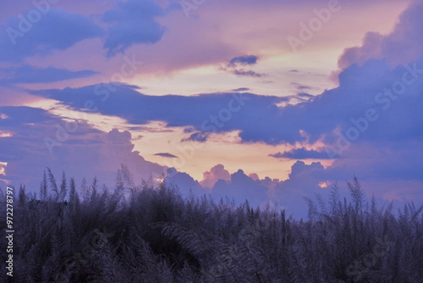 Fototapeta sunset over the field