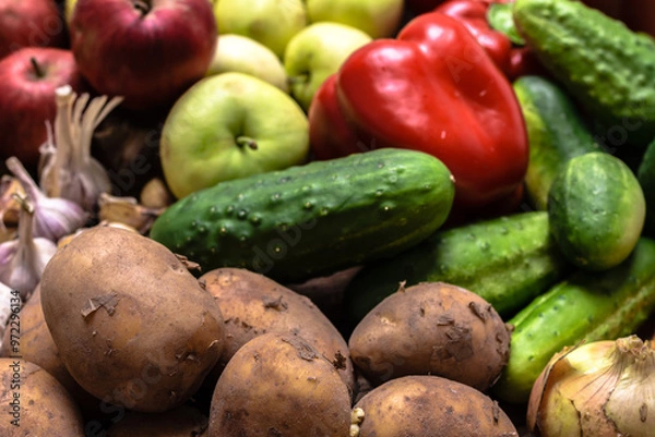 Obraz Bio food. Garden produce and harvested vegetables. Fresh farm vegetable, background.