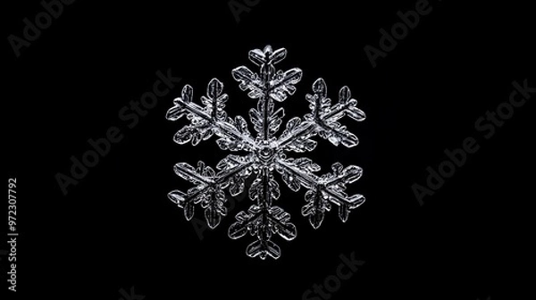 Fototapeta A single snowflake isolated on a black background.