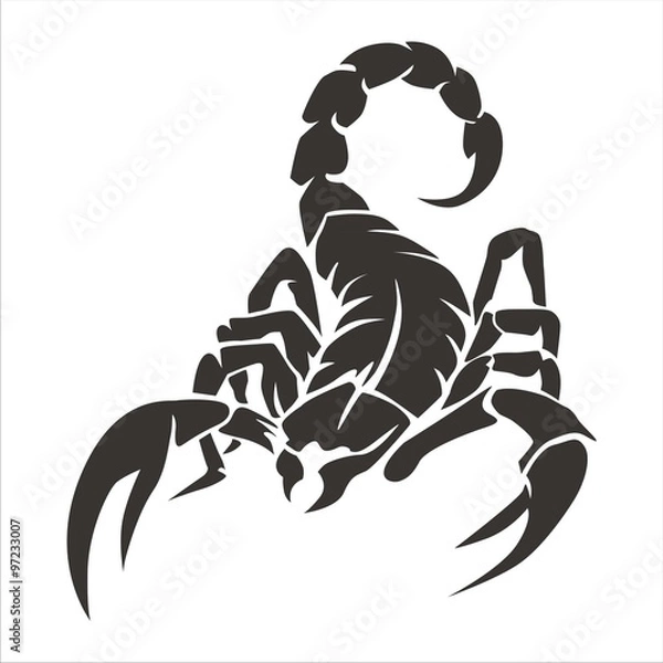 Obraz Scorpion Black