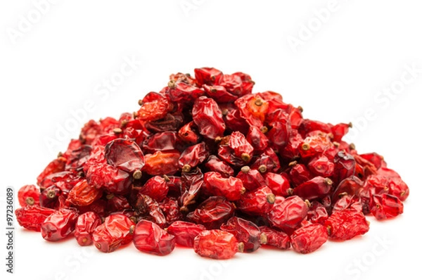 Obraz Berberys na białym tle