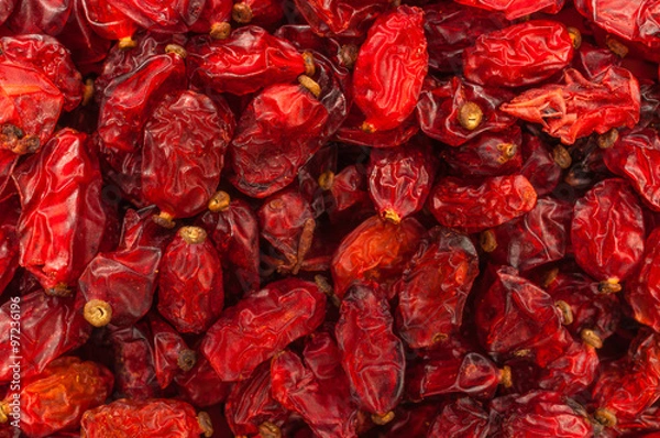 Obraz Berberys izolowany