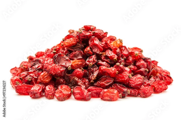 Obraz Berberys izolowany