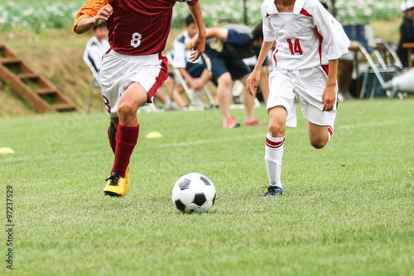 Fototapeta サッカー　フットボール
